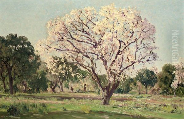 An Almond Tree In Blossom Oil Painting by Aureliano de Beruete y Moret