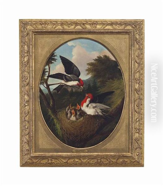 Red Crested Birds With Youth Oil Painting by Michelangelo Meucci