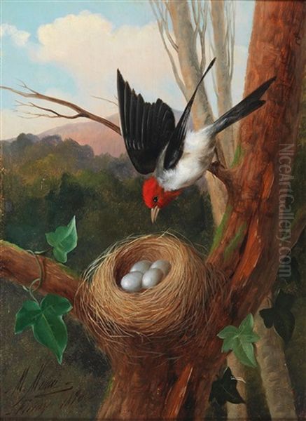 Bird By Its Nest Oil Painting by Michelangelo Meucci