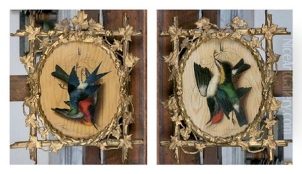 Paire De Trophees D'oiseaux (2 Works) Oil Painting by Michelangelo Meucci