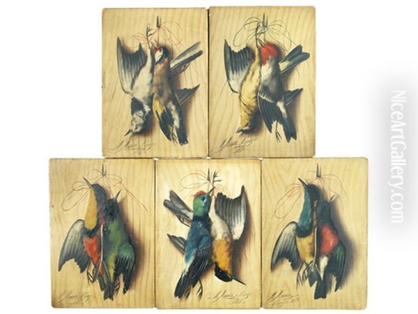 Hanging Songbirds, A Set Of Five Oil Painting by Michelangelo Meucci