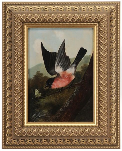 Bird With Butterfly Oil Painting by Michelangelo Meucci