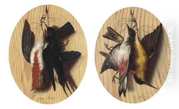 A Trompe L'oeil With Two Songbirds Hanging From A Nail (+ Another; Pair) Oil Painting by Michelangelo Meucci