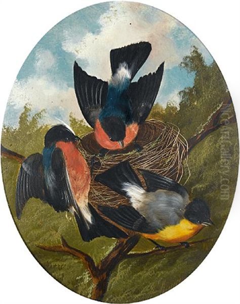 Bullfinches On A Nest (+ A Great Tit, A Blue Tit And A Blackcap On A Branch; Pair) Oil Painting by Michelangelo Meucci