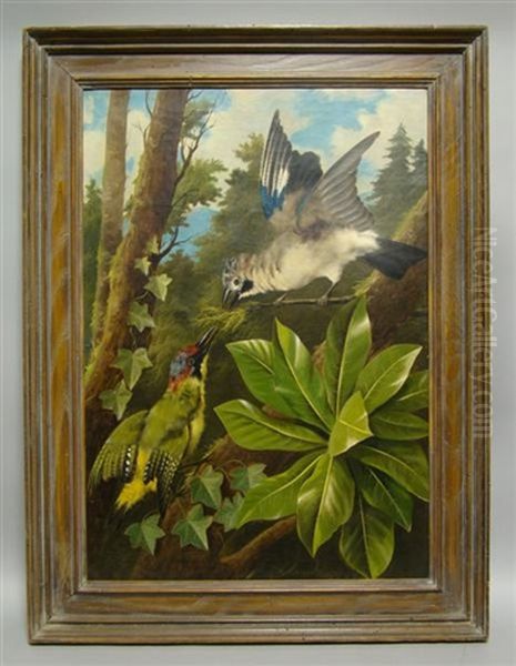 European Jay And A Green Woodpecker Oil Painting by Michelangelo Meucci