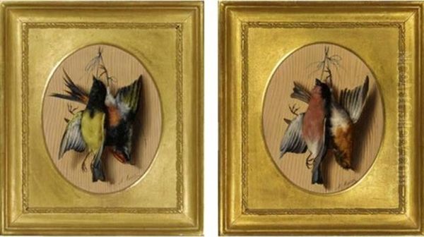 A Pair Of Still Lifes Of Songbirds Oil Painting by Michelangelo Meucci