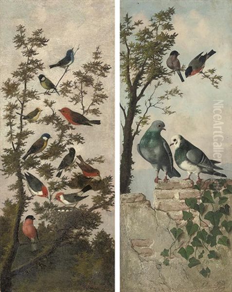 Songbirds In A Tree (+ Pigeons On A Wall, With Birds In A Tree; Pair) Oil Painting by Michelangelo Meucci