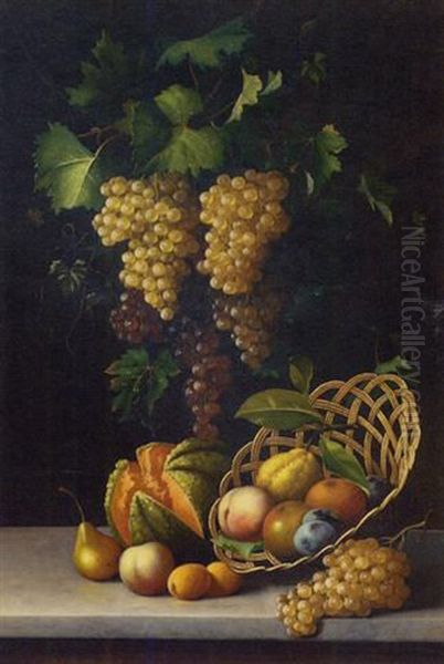 A Cornucopia Of Fruit Oil Painting by Michelangelo Meucci