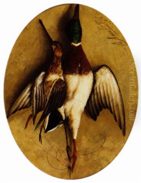 A Mallard And Snipe Hanging Oil Painting by Michelangelo Meucci