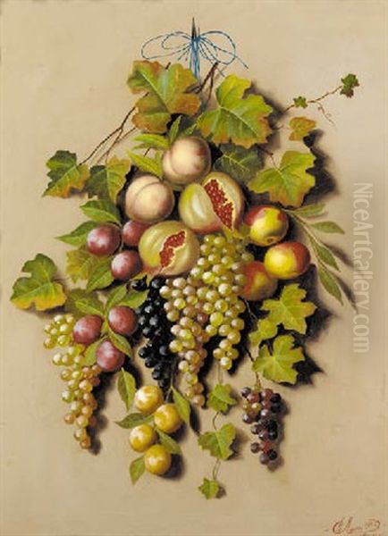 Grapes On The Vine, Plums, Peaches And Pomegranates Hanging Oil Painting by Michelangelo Meucci