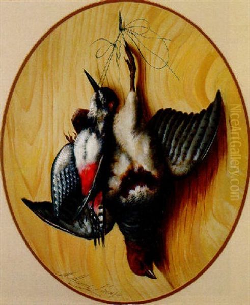 A Partridge And Woodpecker Hanging On A Nail Oil Painting by Michelangelo Meucci