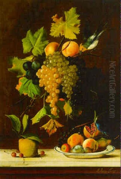 Grapes, Plums With A Pear, A Dish Of Peaches And A Pomegranate With Birds On A Ledge Oil Painting by Michelangelo Meucci