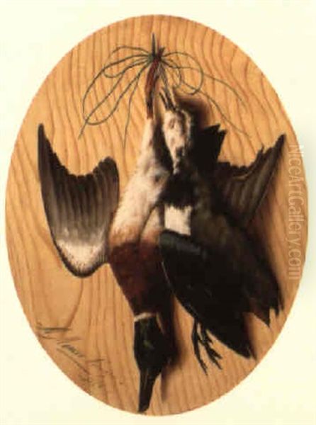 A Hanging Mallard And Lapwing Oil Painting by Michelangelo Meucci