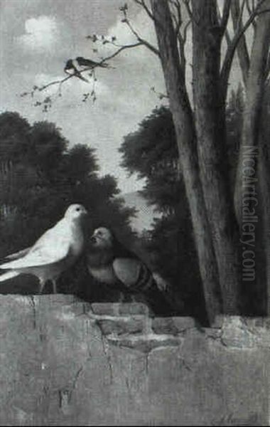 Pigeons On A Fence Oil Painting by Michelangelo Meucci