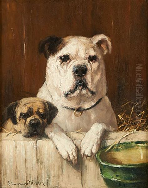 Les Bouledogues Francais Oil Painting by Edmond Van Der Meulen