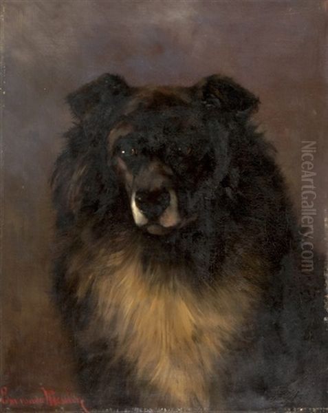 Portrat Eines Border Collie Oil Painting by Edmond Van Der Meulen