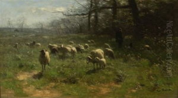 Hirte Mit Schafen Auf Der Weide Am Waldrand Oil Painting by Francois Pieter ter Meulen