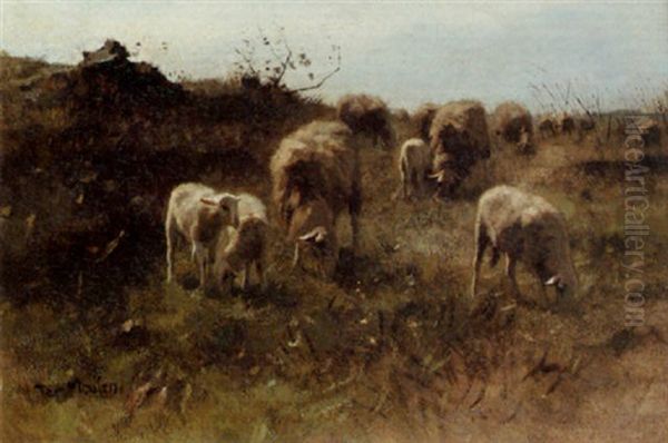 A Flock Of Lamb Oil Painting by Francois Pieter ter Meulen