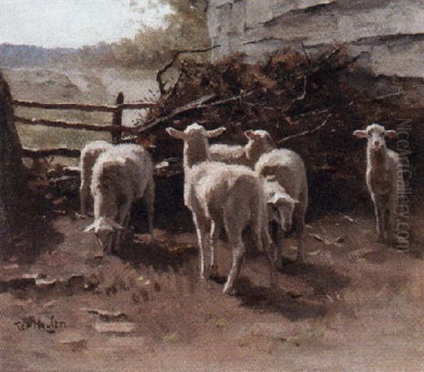 A Flock Of Lambs In Pasture Oil Painting by Francois Pieter ter Meulen