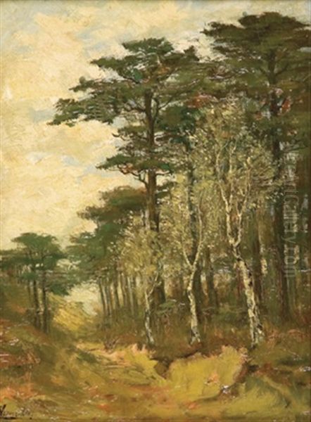 Waldstuck Mit Birken Und Kiefern Oil Painting by Marinus Cornelis Thomas ver Meulen