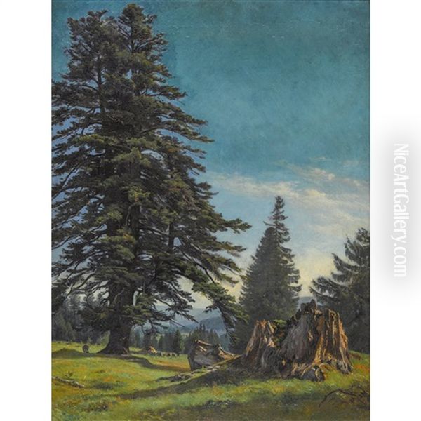 Sapin Du Jura Oil Painting by Albert De Meuron