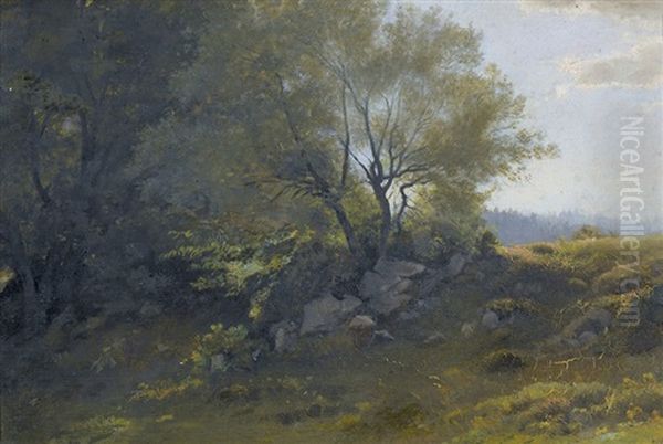 Sommerlicher Waldrand Oil Painting by Albert De Meuron