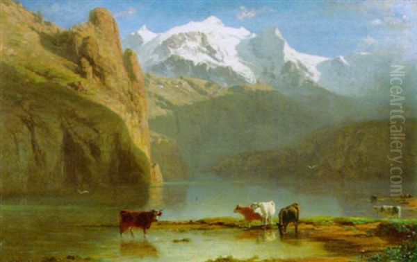 Kuhe Am Bergsee Oil Painting by Albert De Meuron