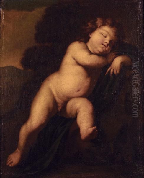 Putto Dormiente Oil Painting by Paolo Emilio Besenzi