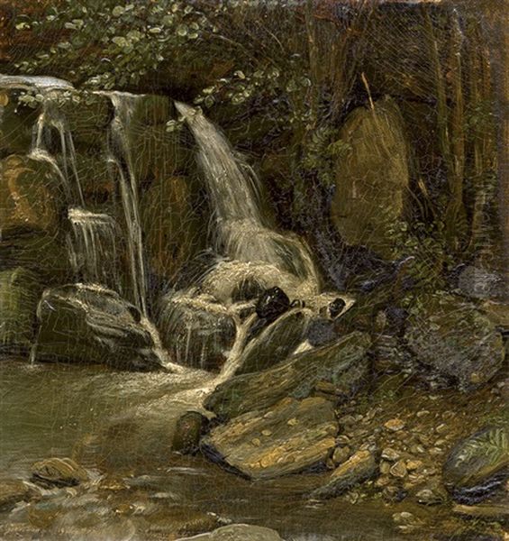 Kleiner Wasserfall Im Schweizertal Bei St. Goarshausen Oil Painting by Johann Georg Meyer von Bremen