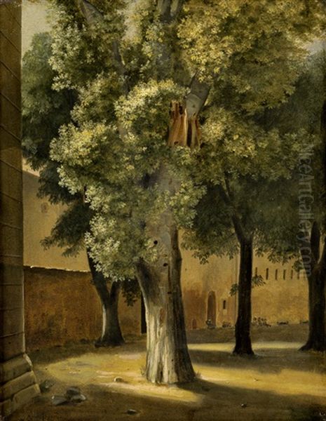 Baumstudien Im Klostergarten Von Procida Oil Painting by Ernst Meyer