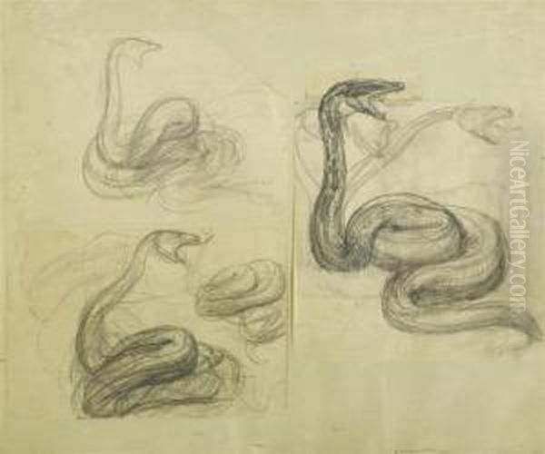 Lot Of Three Sheets With Studies Of Snakes Oil Painting by Paul Albert Besnard