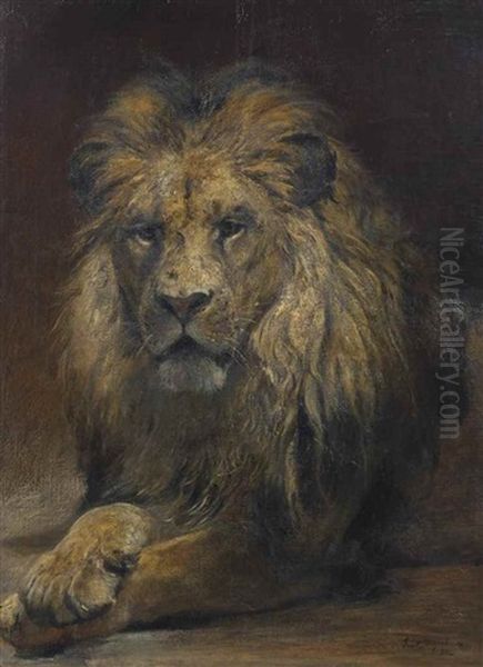 A Lion Oil Painting by Paul Friedrich Meyerheim