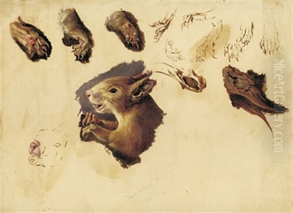 Eichhornchen (studies) Oil Painting by Paul Friedrich Meyerheim