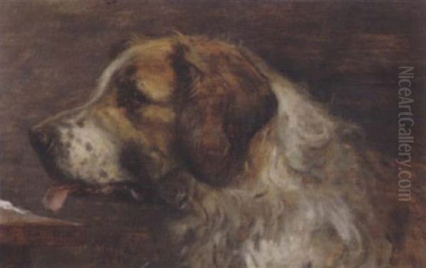 Darstellung Eines Bernhardinerhundes Oil Painting by Paul Friedrich Meyerheim