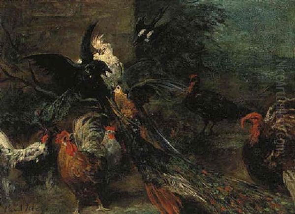 A Peacock, Parrot, Cockatoo, Roosters, Turkeys And A Crow In A Landscape Oil Painting by Paul Friedrich Meyerheim