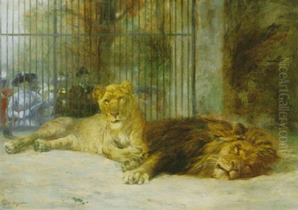 Lowen Im Zoo Oil Painting by Paul Friedrich Meyerheim