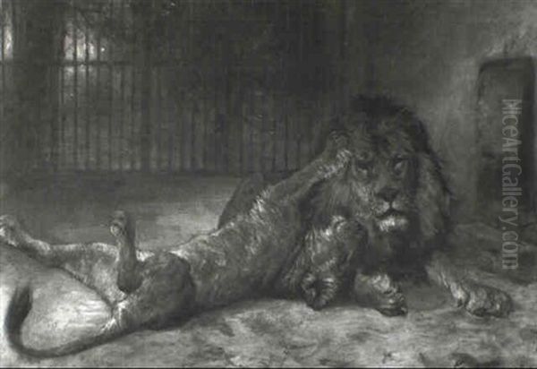 Ein Lowenpaar Im Berliner Zoo Oil Painting by Paul Friedrich Meyerheim