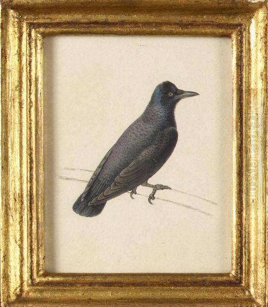 Corbeau Oil Painting by Pancrace Bessa