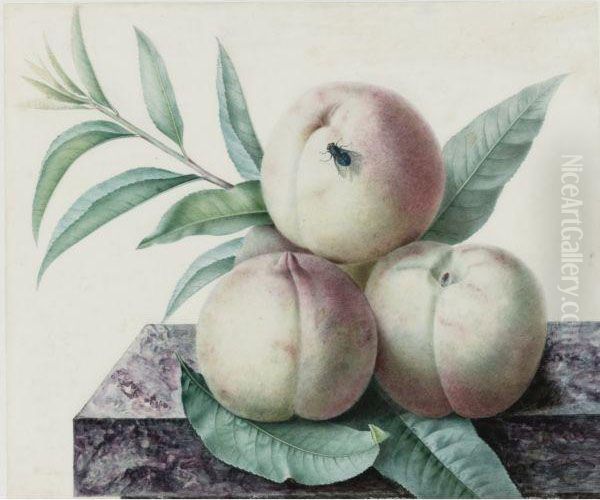 Peaches Oil Painting by Pancrace Bessa