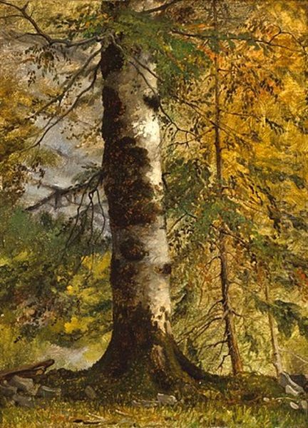 A Study Of A Tree Oil Painting by Achille Etna Michallon