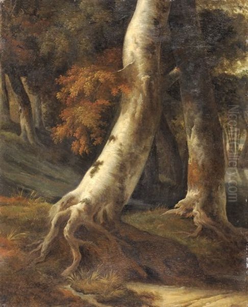 Tronc D'arbre (study) (after Ruisdael) Oil Painting by Achille Etna Michallon