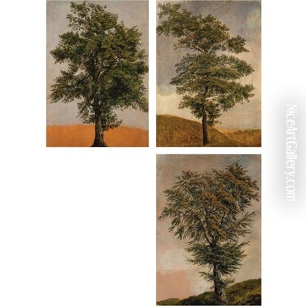 Studies Of Trees (various Sizes; Set Of 3) Oil Painting by Achille Etna Michallon