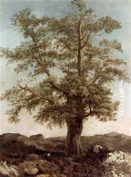 Study Of A Tree Oil Painting by Achille Etna Michallon