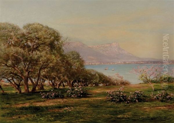 Cote Varoise Au Printemps Oil Painting by Emile Francois Michel