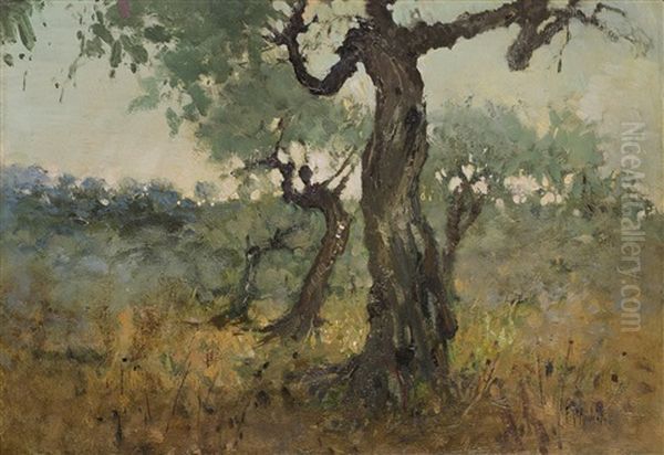 Alberi Di Ulivo Oil Painting by Francesco Paolo Michetti