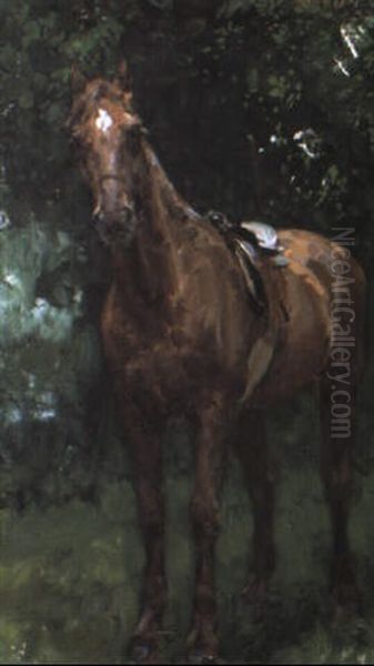 Il Cavallo Di Re Umberto I Oil Painting by Francesco Paolo Michetti