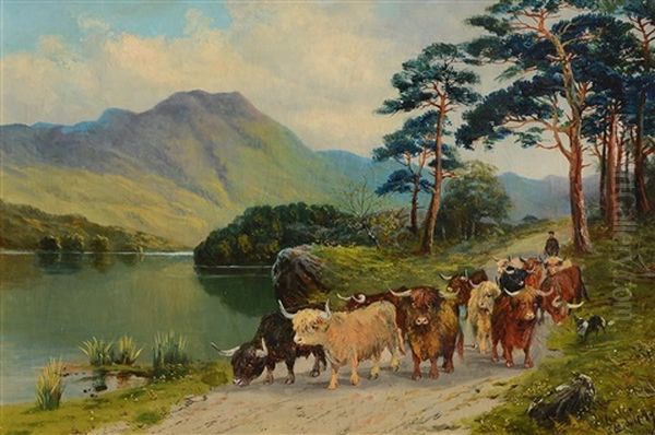 Herding Highland Cattle Oil Painting by John Middleton