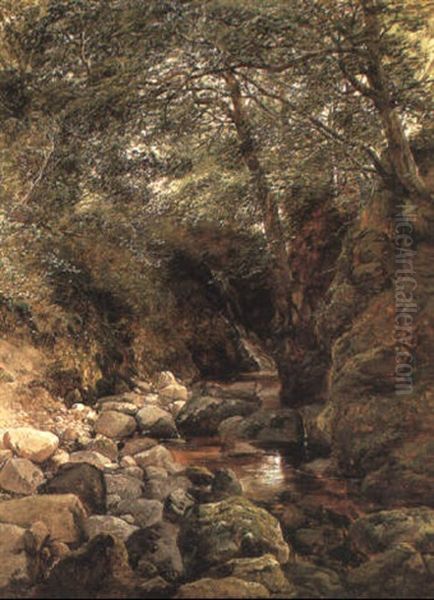 The Stream In June Oil Painting by John Middleton