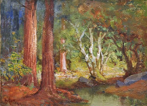 Redwoods With Sunbeams Oil Painting by Arthur William Best