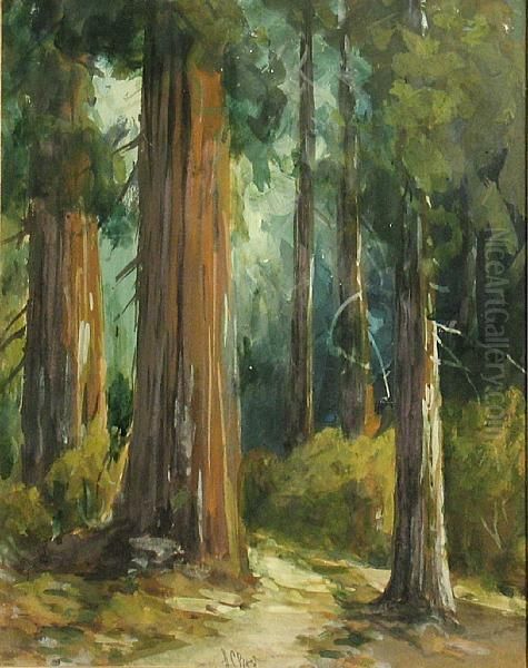 Mariposa Big Trees Oil Painting by Harry Cassie Best